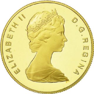 100 Dollari St. John's Canada